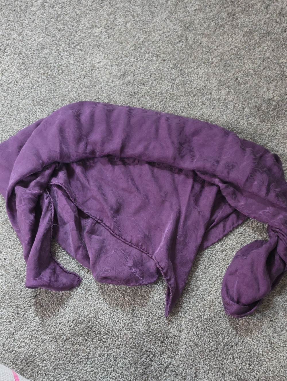 Cowgirl Wid Rag- Silk